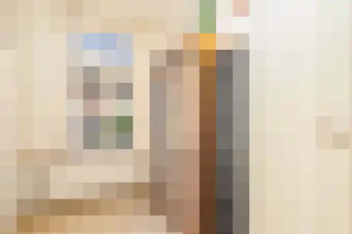 Coornhertstraat 43 Utrecht thumbnail 18