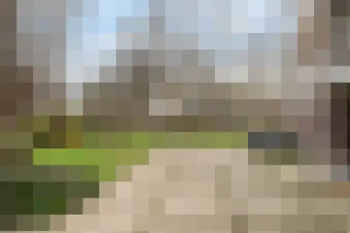 Coornhertstraat 47 Vlaardingen thumbnail 8