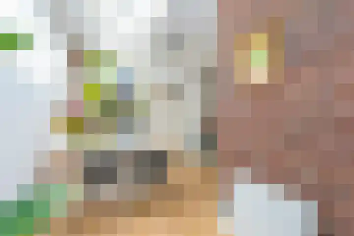 Coornhertstraat 49 Utrecht thumbnail 10