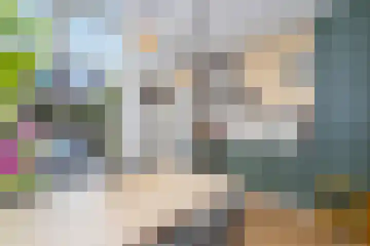 Coornhertstraat 49 Utrecht thumbnail 11