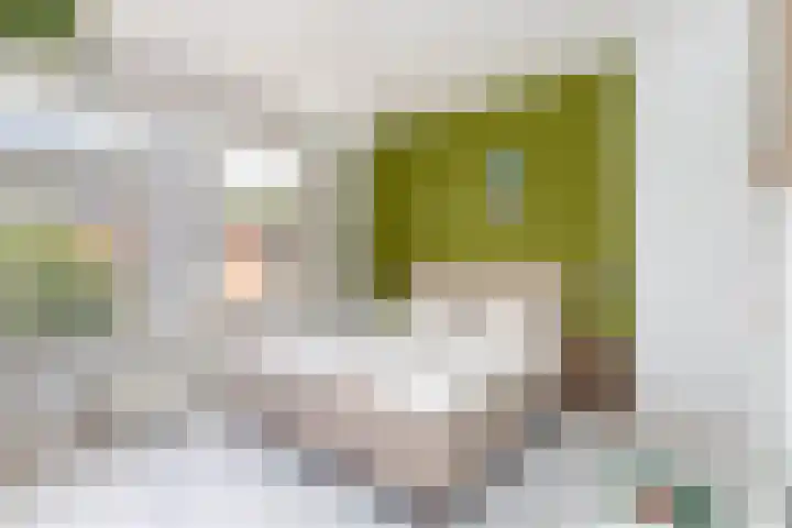 Coornhertstraat 49 Utrecht thumbnail 19