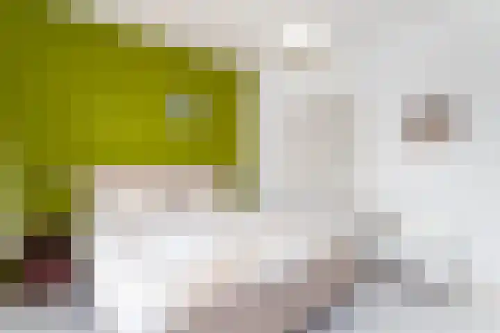 Coornhertstraat 49 Utrecht thumbnail 20