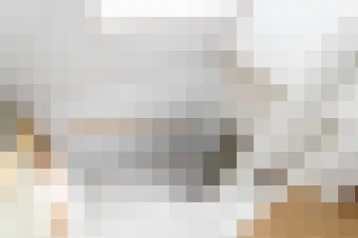 Coornhertstraat 49 Utrecht thumbnail 31