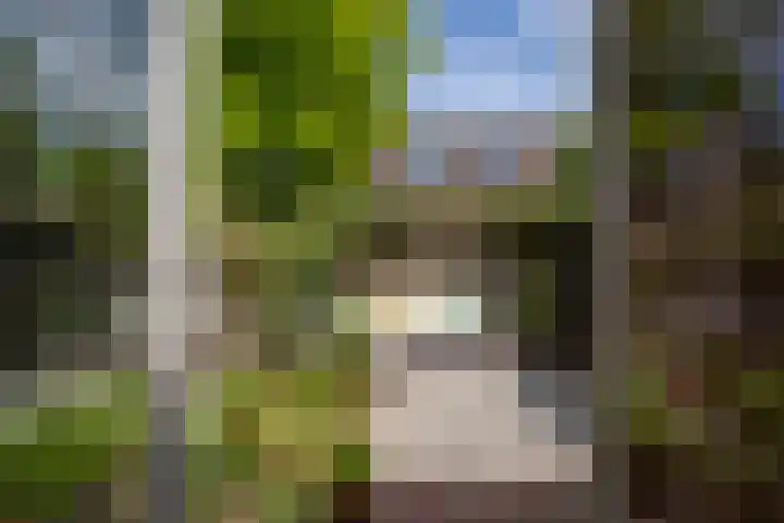 Coornhertstraat 49 Utrecht thumbnail 36