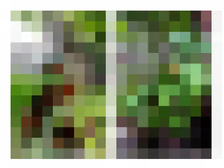Coornhertstraat 49 Utrecht thumbnail 39