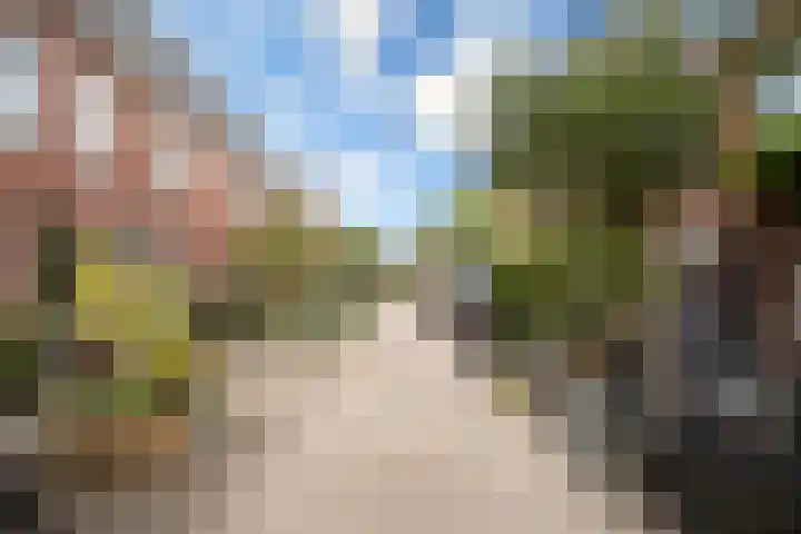 Coornhertstraat 49 Utrecht thumbnail 41