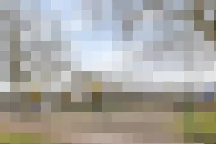 Coornhertstraat 49 Vlaardingen thumbnail 37