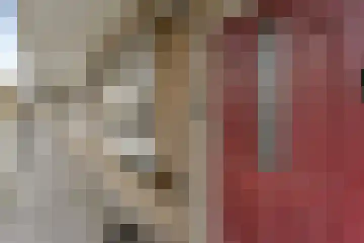 Coornhertstraat 49 Vlaardingen thumbnail 5