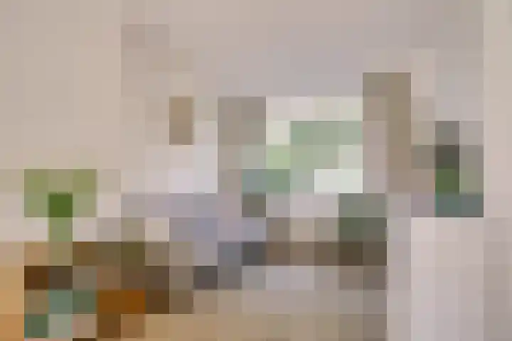 Coornhertstraat 59 Leiden thumbnail 8