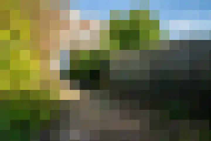 Coornhertstraat 6 Leiden thumbnail 13