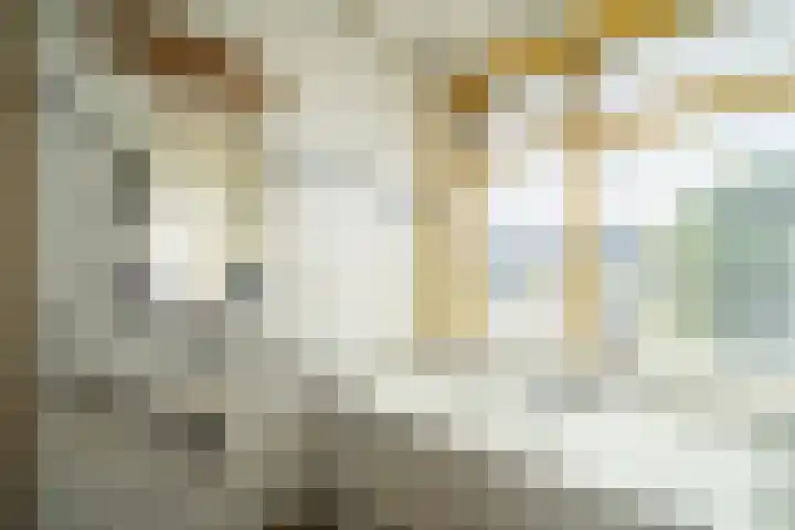 Coornhertstraat 6 Leiden thumbnail 33