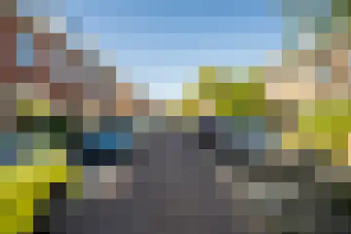 Coornhertstraat 6 Leiden thumbnail 46