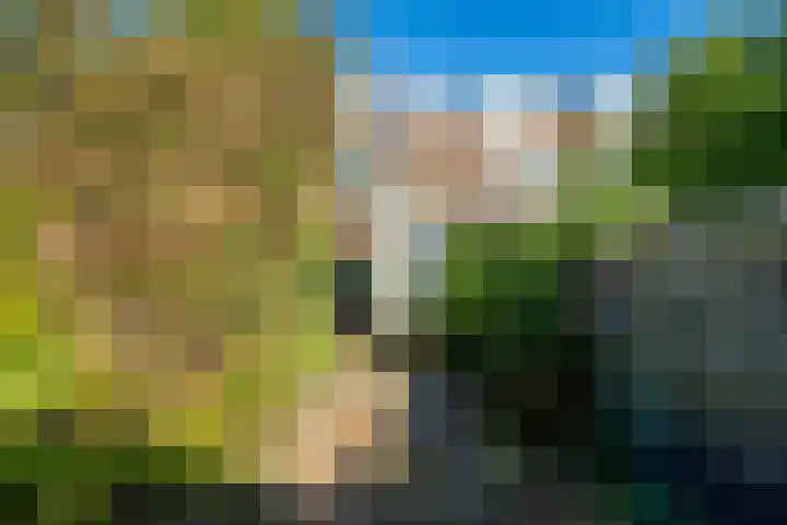 Coornhertstraat 6 Leiden thumbnail 6