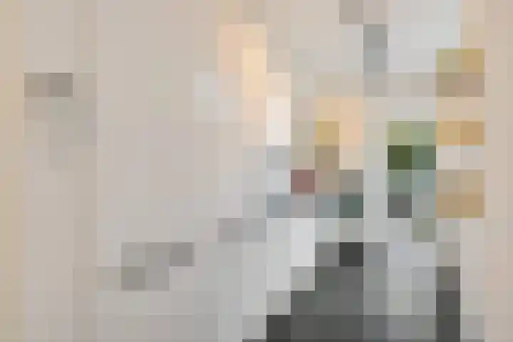 Coornhertstraat 62 Utrecht thumbnail 12