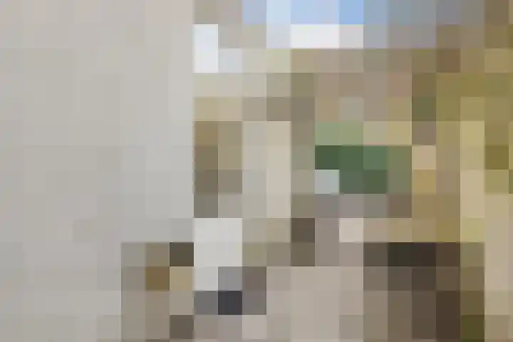 Coornhertstraat 62 Utrecht thumbnail 21
