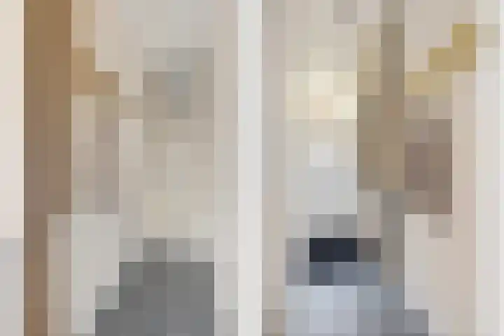 Coornhertstraat 62 Utrecht thumbnail 22