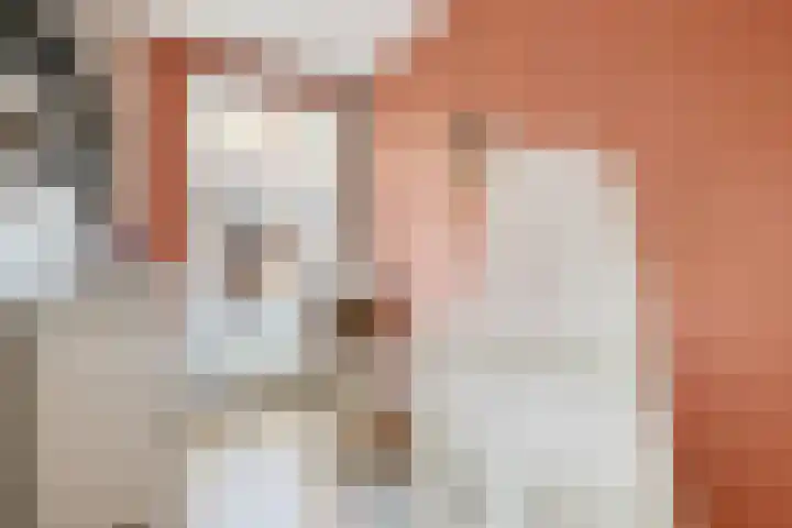 Coornhertstraat 62 Utrecht thumbnail 27
