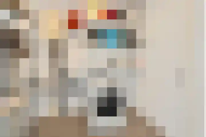 Coornhertstraat 62 Utrecht thumbnail 37