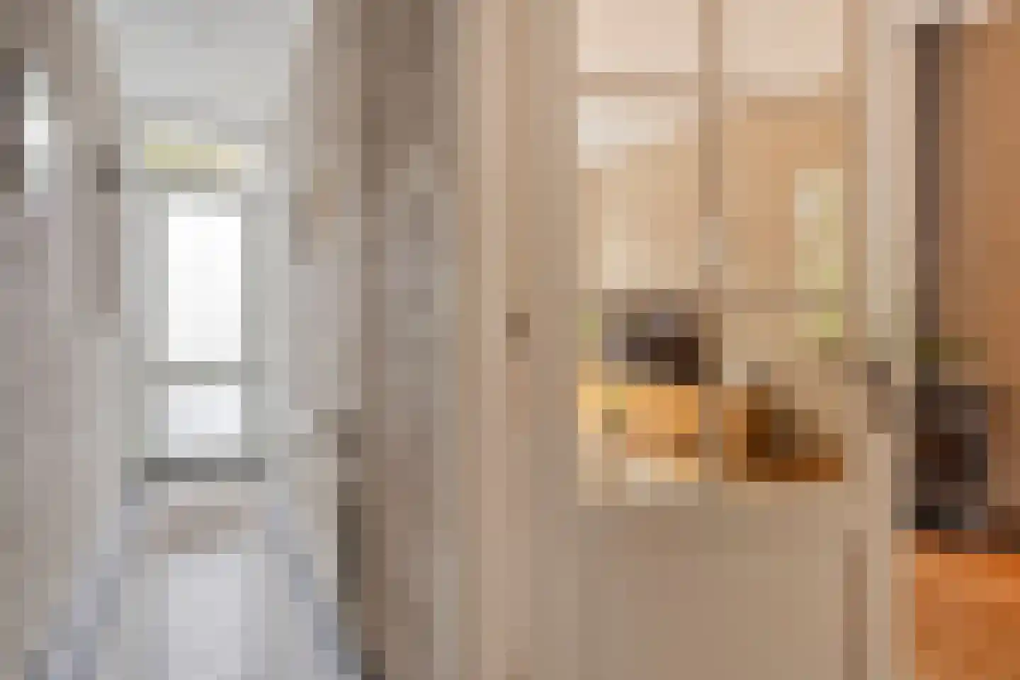 Coornhertstraat 65 Leiden thumbnail 10