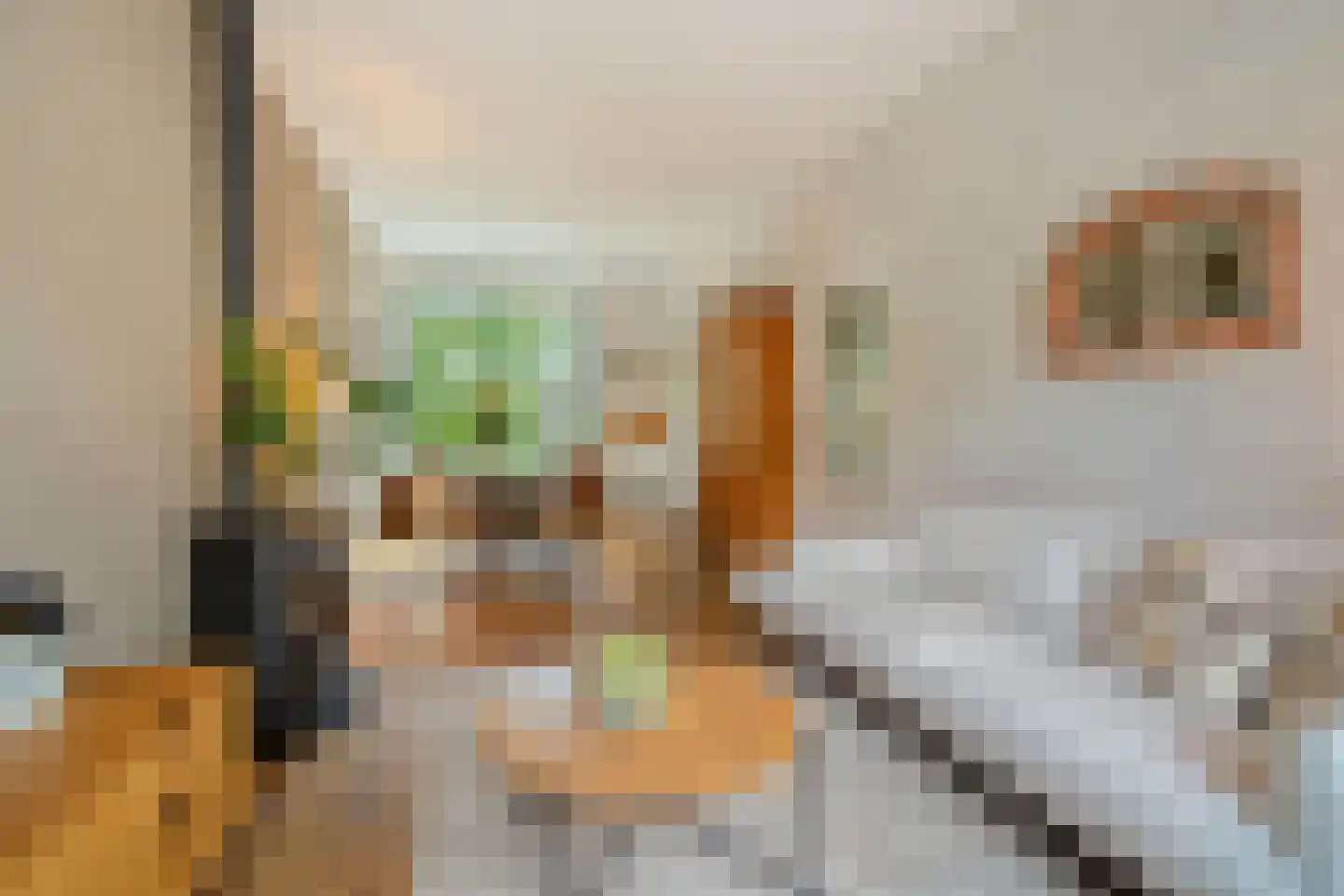Coornhertstraat 65 Leiden thumbnail 11