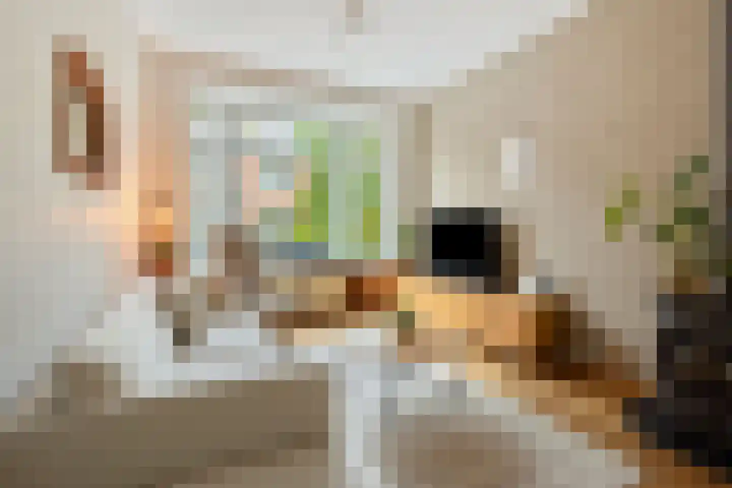 Coornhertstraat 65 Leiden thumbnail 12
