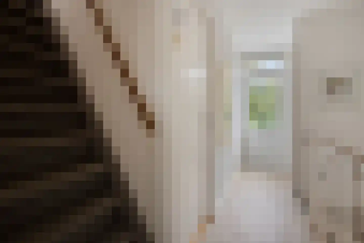 Coornhertstraat 65 Leiden thumbnail 19