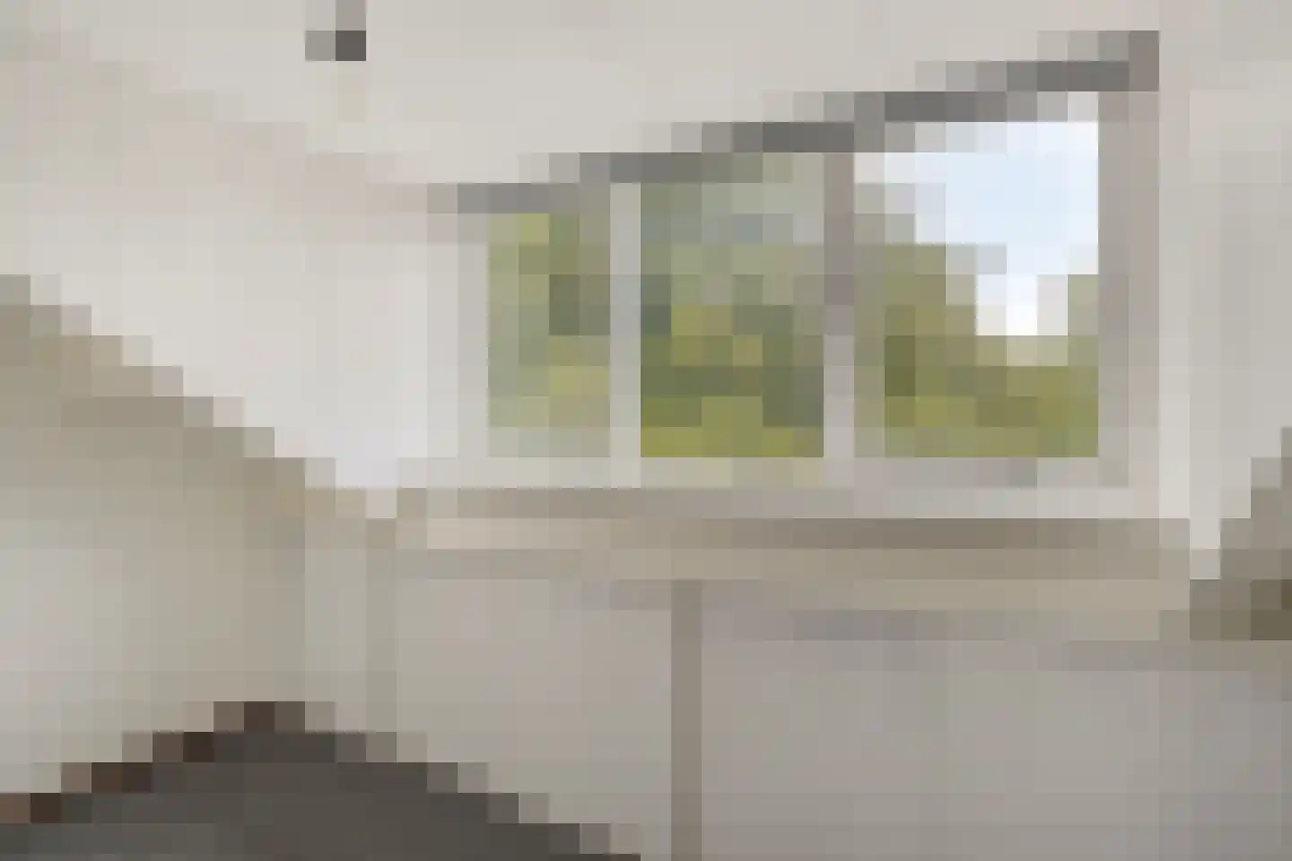Coornhertstraat 65 Leiden thumbnail 30