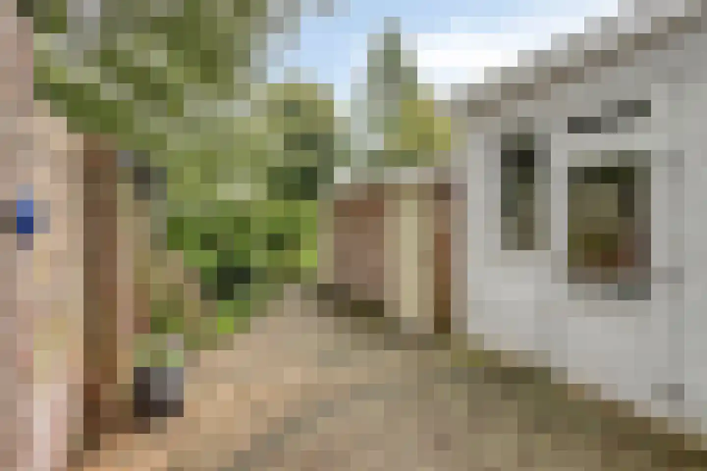 Coornhertstraat 65 Leiden thumbnail 33