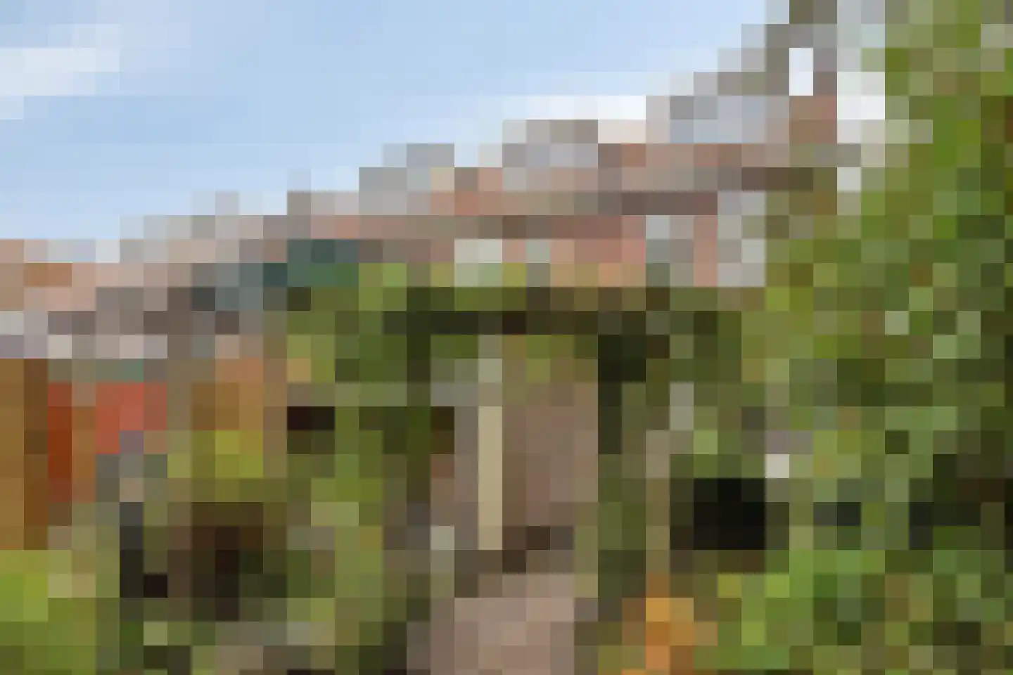 Coornhertstraat 65 Leiden thumbnail 36