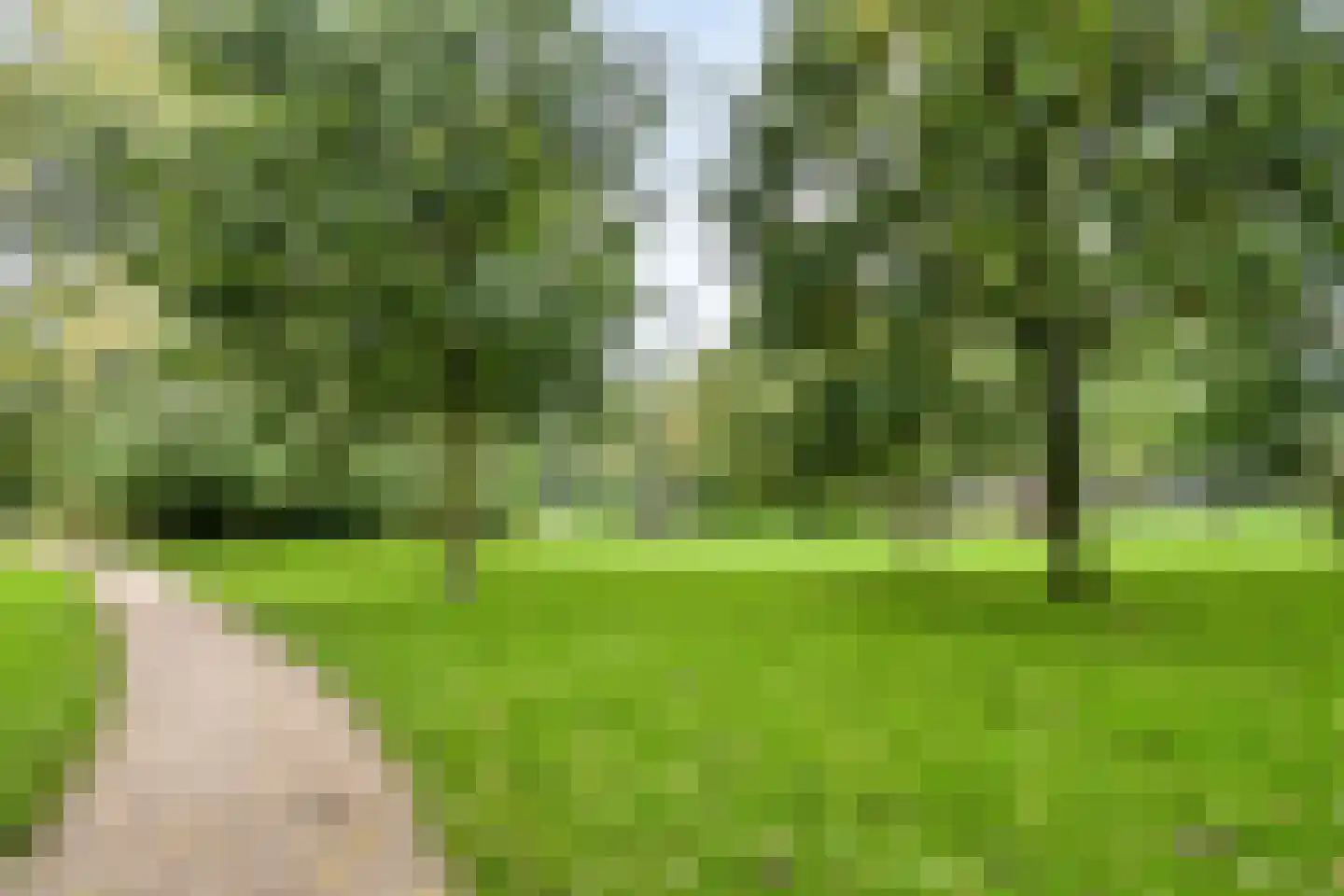 Coornhertstraat 65 Leiden thumbnail 38