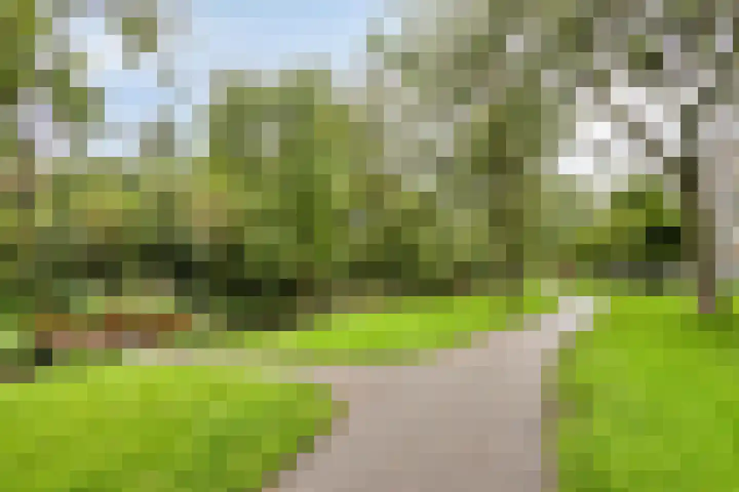 Coornhertstraat 65 Leiden thumbnail 39