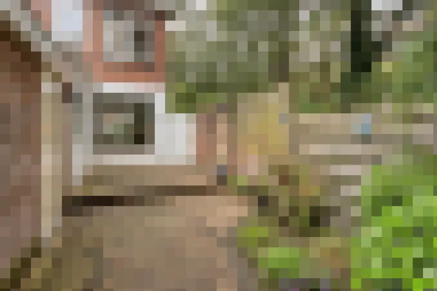 Coornhertstraat 65 Leiden thumbnail 4