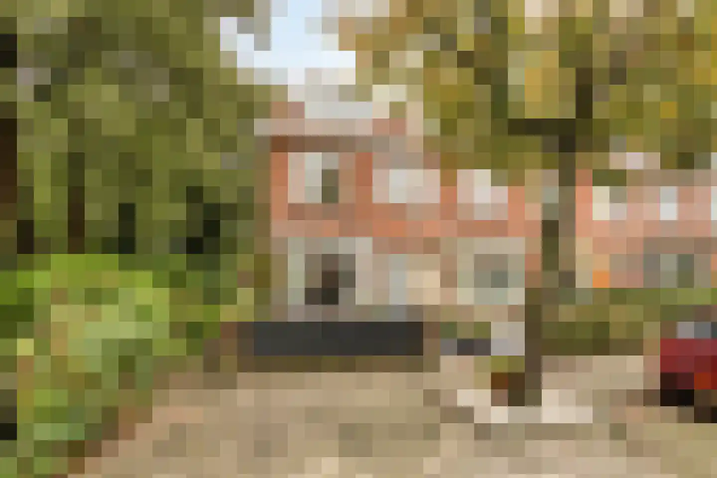 Coornhertstraat 65 Leiden thumbnail 5