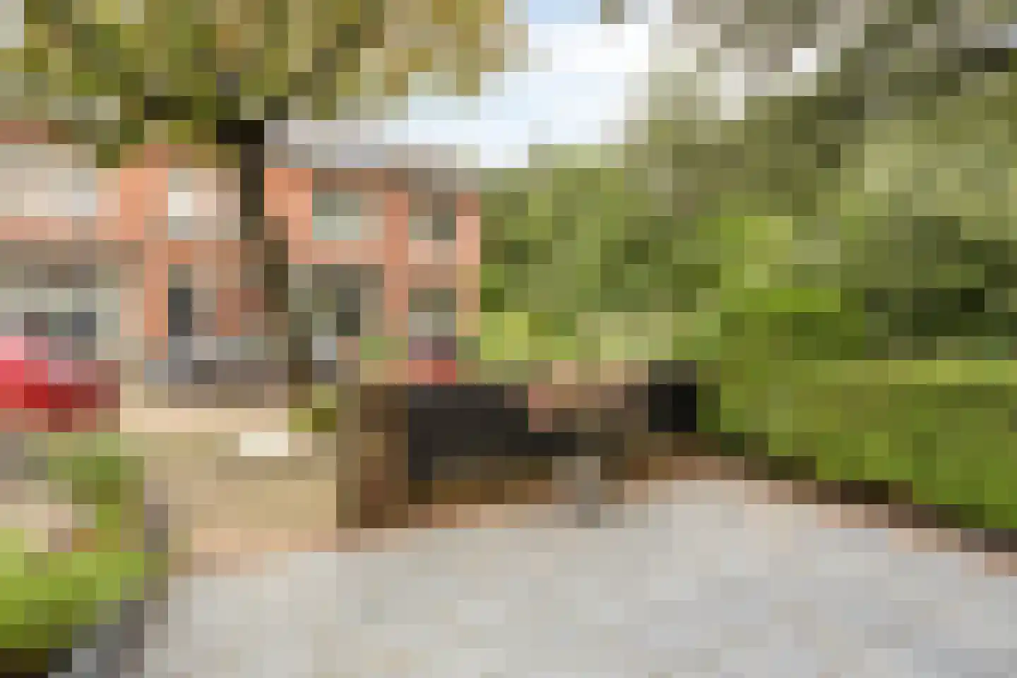 Coornhertstraat 65 Leiden thumbnail 8