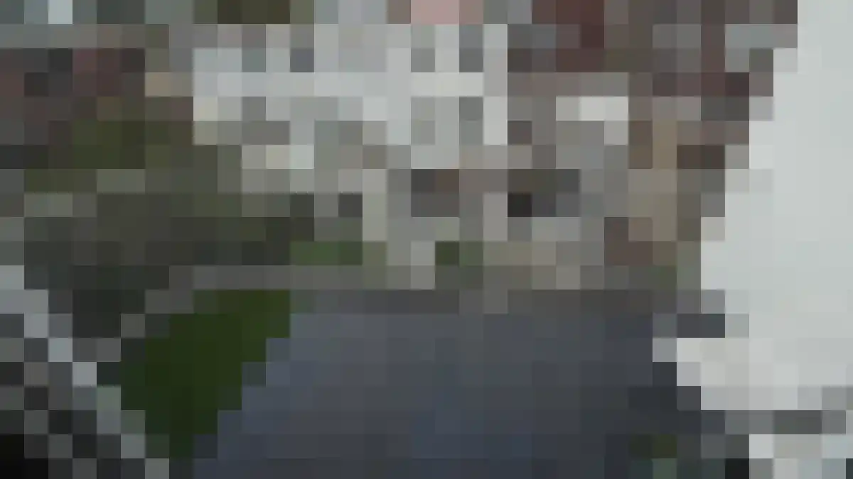 Coornhertstraat 72 BS Utrecht thumbnail 6