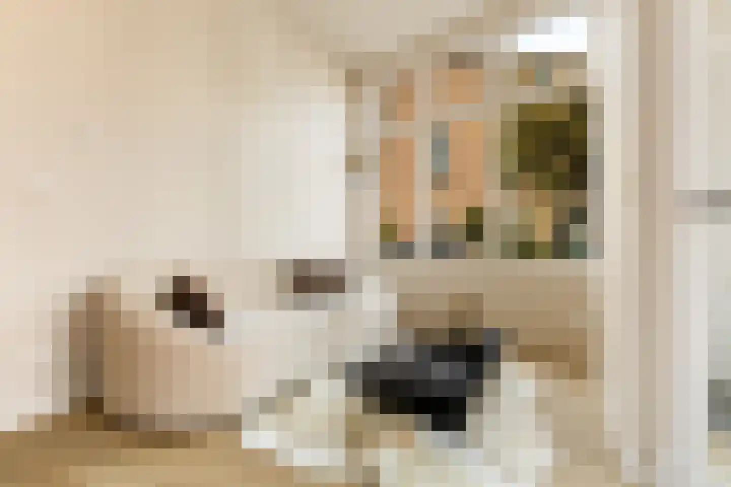 Coornhertstraat 73 Utrecht thumbnail 10