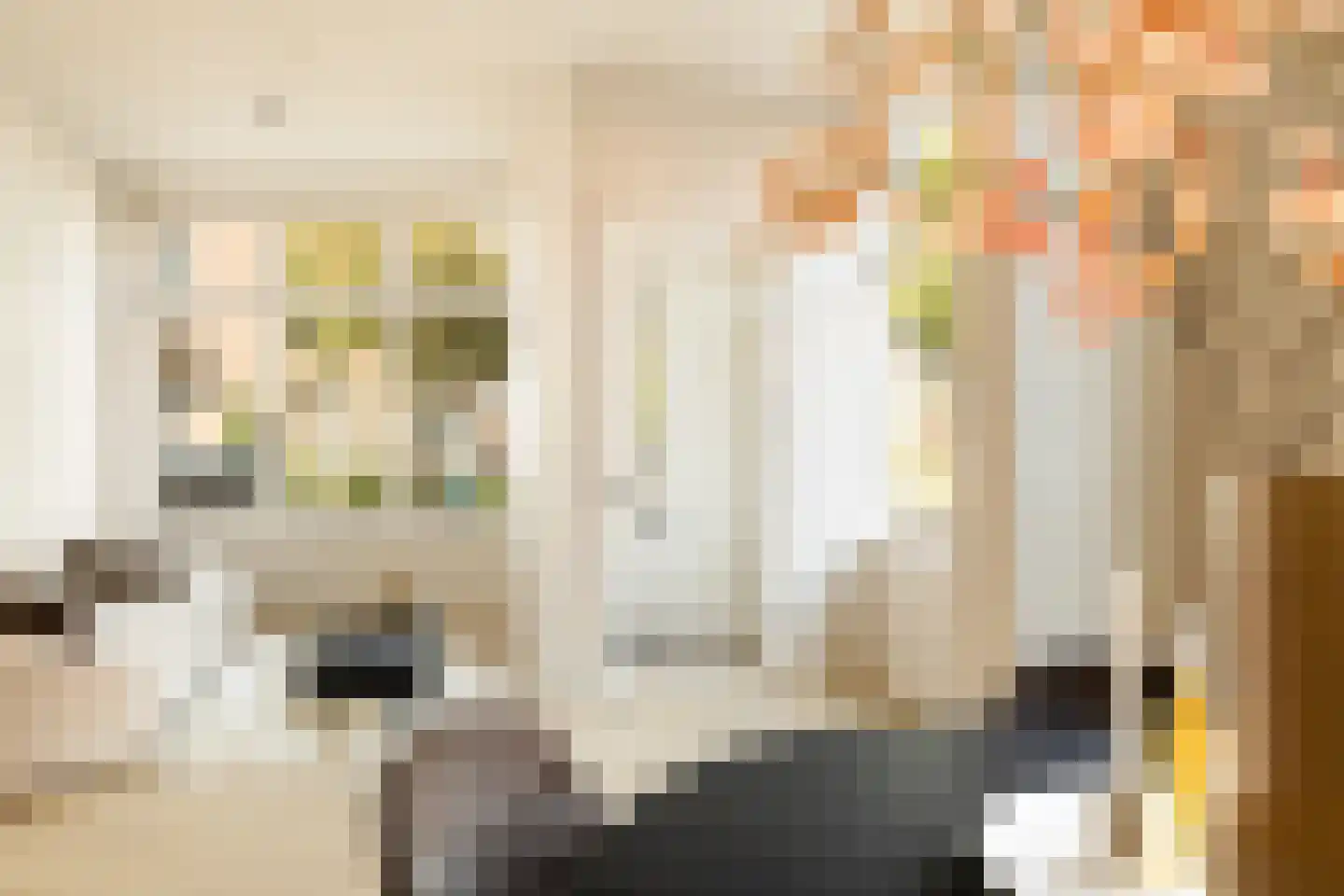 Coornhertstraat 73 Utrecht thumbnail 14