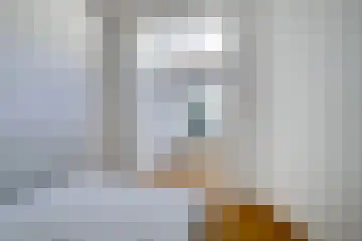 Coornhertstraat 73 Utrecht thumbnail 14