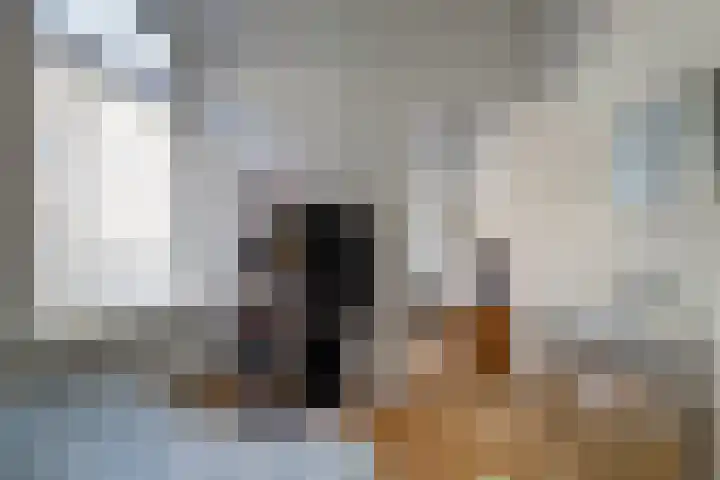 Coornhertstraat 73 Utrecht thumbnail 18
