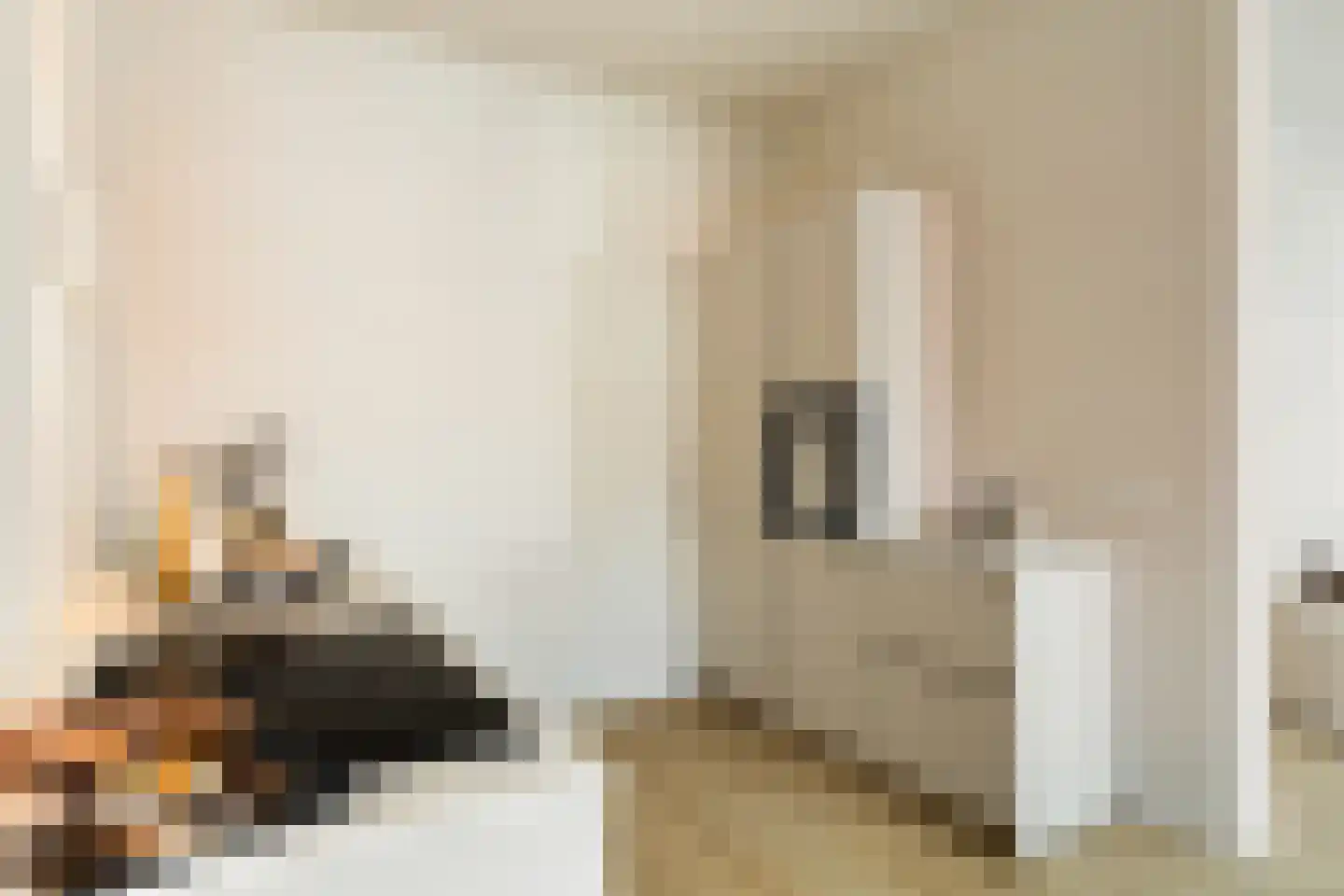 Coornhertstraat 73 Utrecht thumbnail 19