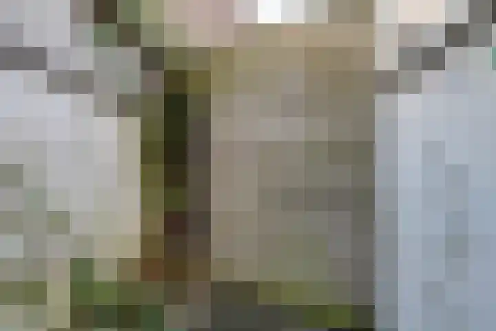 Coornhertstraat 73 Utrecht thumbnail 20