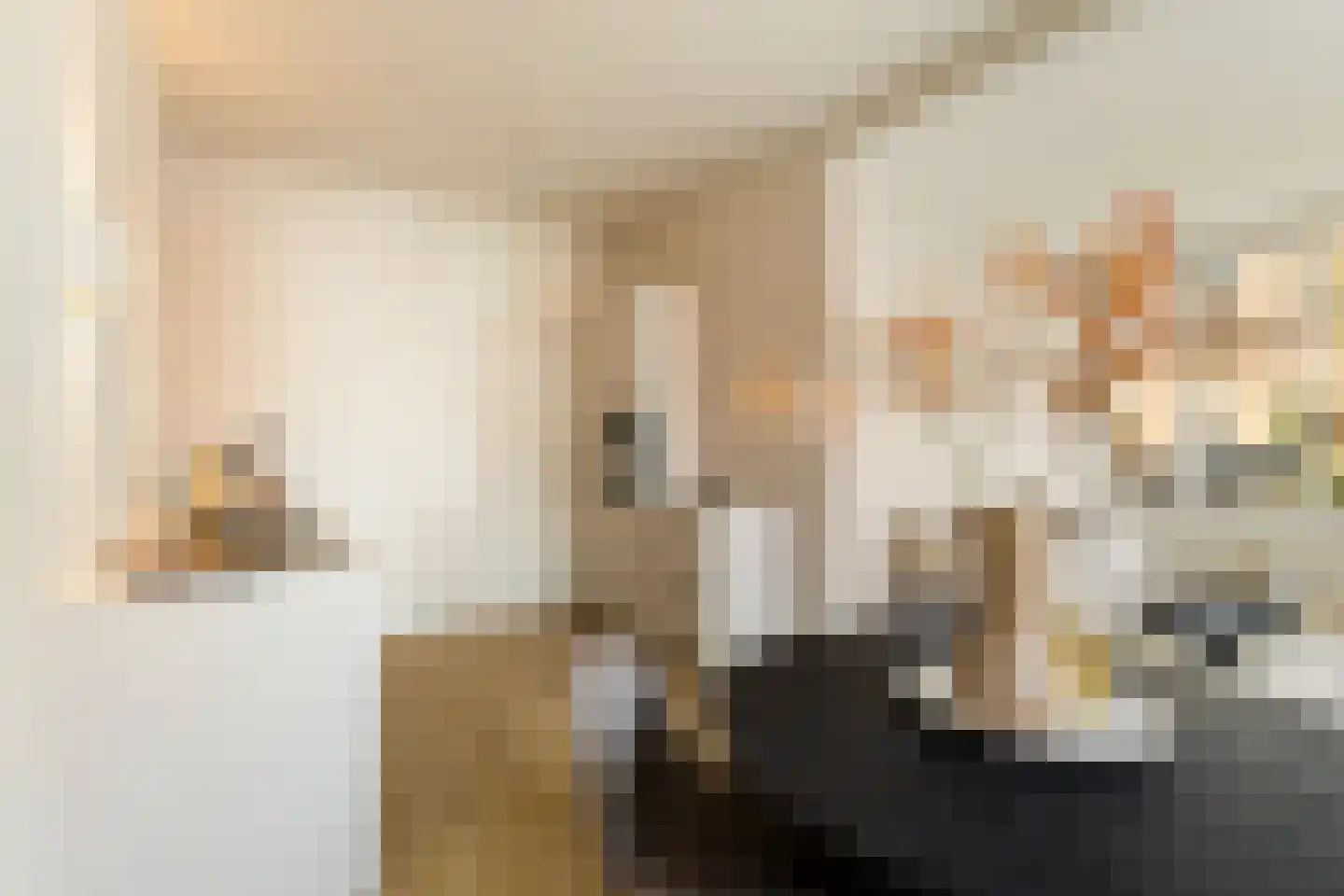 Coornhertstraat 73 Utrecht thumbnail 20