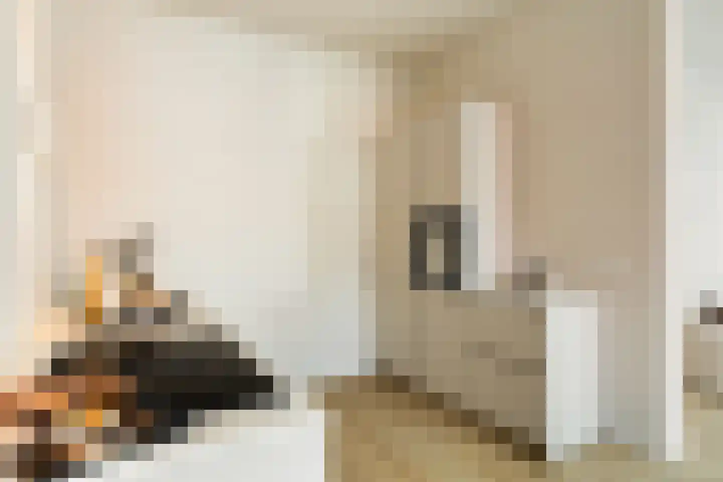 Coornhertstraat 73 Utrecht thumbnail 21