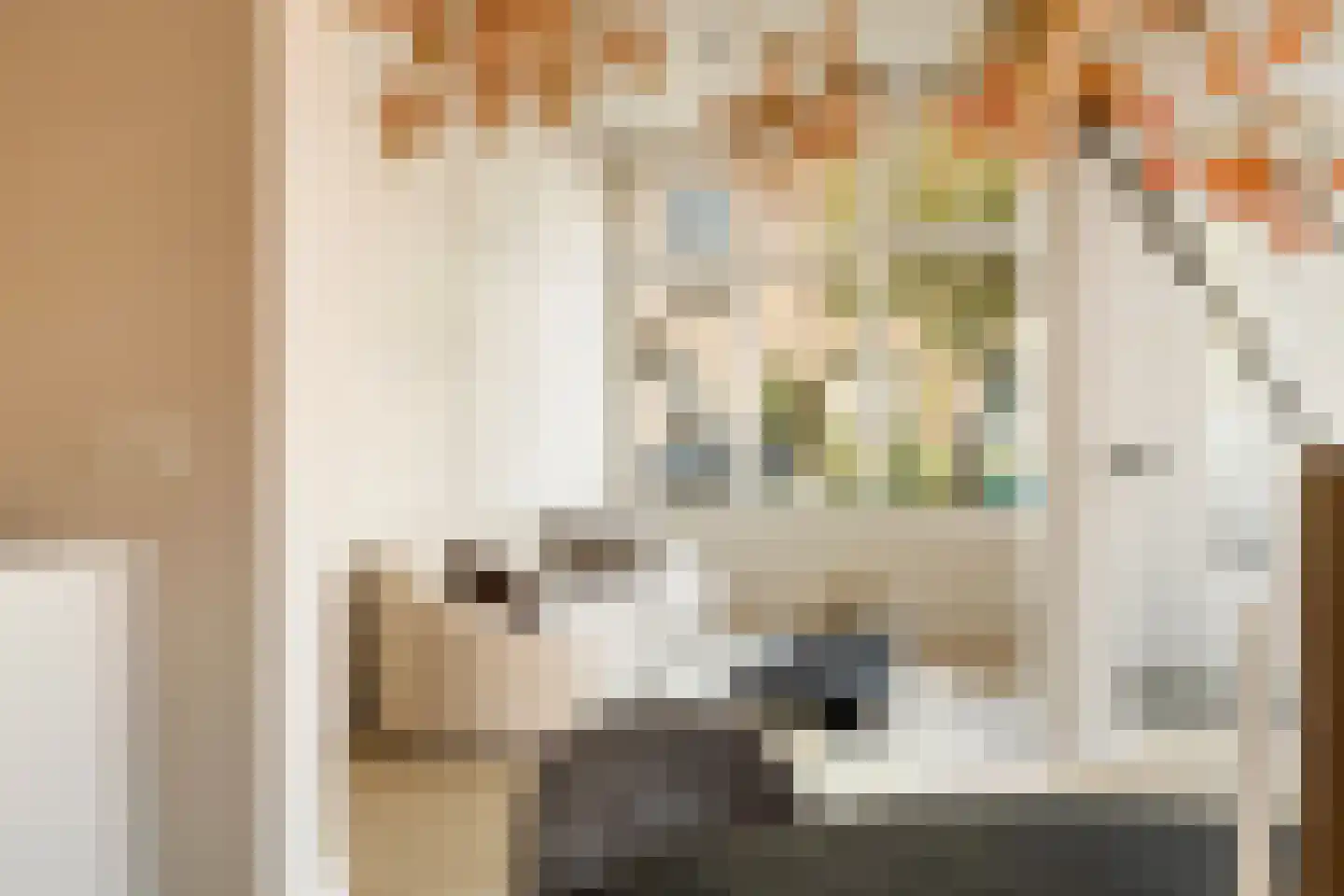 Coornhertstraat 73 Utrecht thumbnail 21