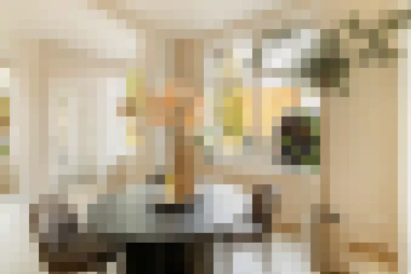 Coornhertstraat 73 Utrecht thumbnail 22