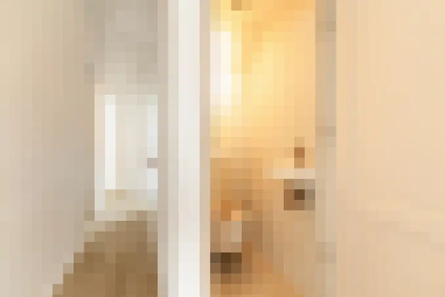 Coornhertstraat 73 Utrecht thumbnail 23