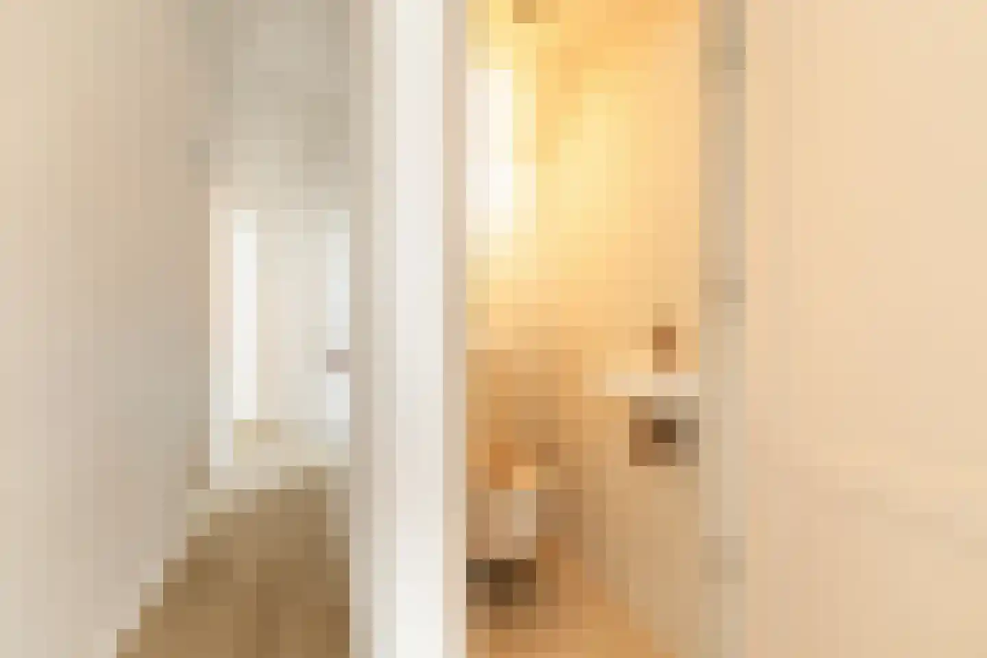 Coornhertstraat 73 Utrecht thumbnail 25