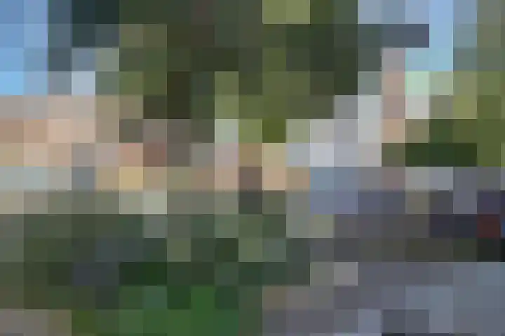 Coornhertstraat 73 Utrecht thumbnail 26
