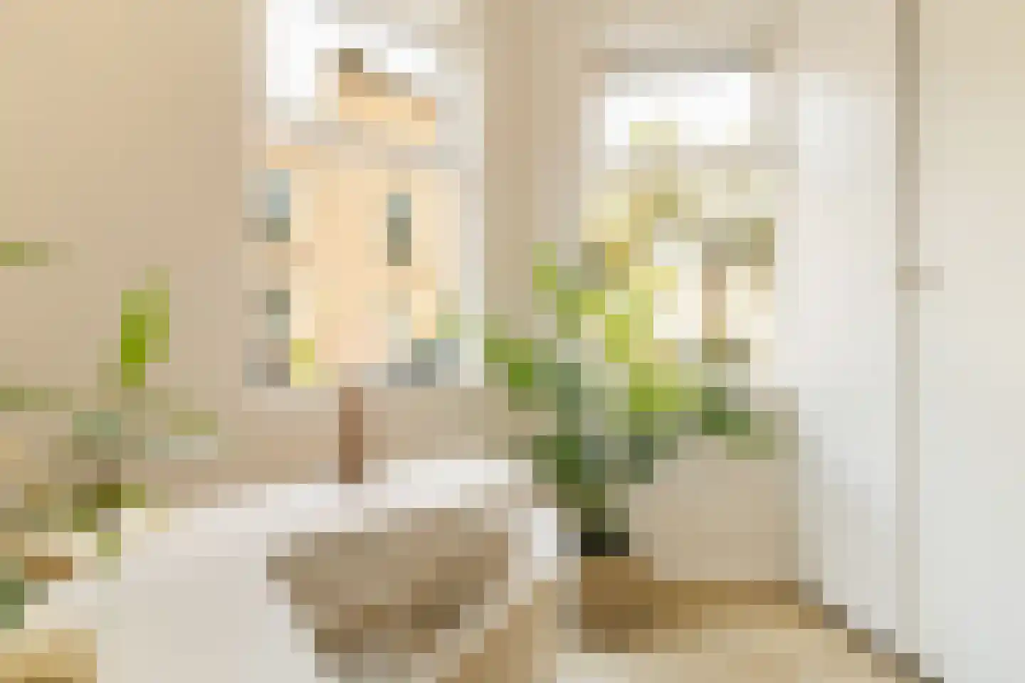 Coornhertstraat 73 Utrecht thumbnail 28
