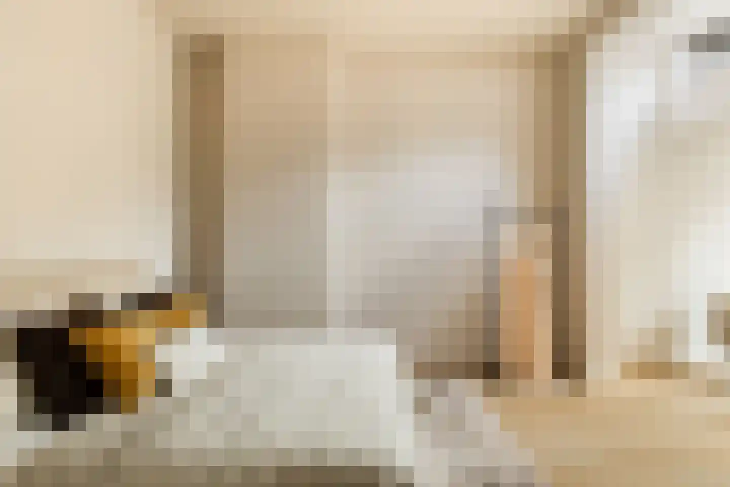 Coornhertstraat 73 Utrecht thumbnail 30